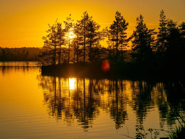 Landschaft Mit Moorsee Und Baumsilhouetten Vordergrund Eine Verschwommene Blendung Sonnenuntergang — Stockfoto