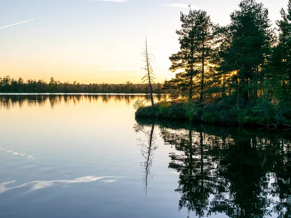 Landschap Met Moerasmeer Boomsilhouetten Een Wazige Schittering Voorgrond Zonsondergang — Stockfoto