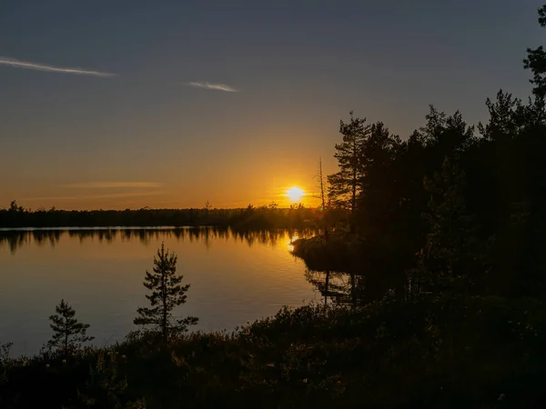 Landscape Bog Lake Tree Silhouettes Blurred Glare Foreground Sunset — Stock Photo, Image