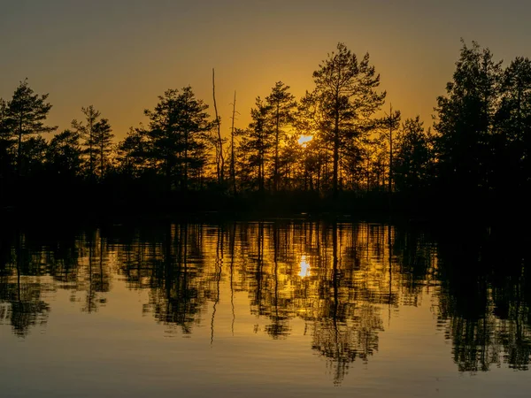 Landschaft Mit Moorsee Und Baumsilhouetten Vordergrund Eine Verschwommene Blendung Sonnenuntergang — Stockfoto