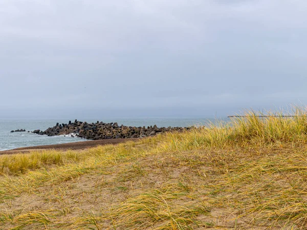 Paisagem Com Dunas Grama Seca Textura Areia — Fotografia de Stock