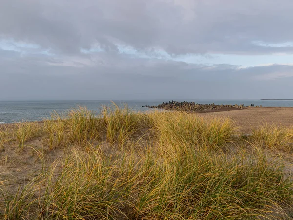 Landskap Med Sanddyner Torrt Gräs Och Sandstruktur — Stockfoto