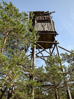 Eski ahşap avcı kulesiyle manzara