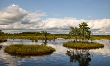 Bataklıktaki ada, altın bataklık, göller ve doğa ortamı, açık mavi gökyüzü ve beyaz bulutlar.