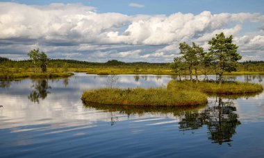 Bataklıktaki ada, altın bataklık, göller ve doğa ortamı, açık mavi gökyüzü ve beyaz bulutlar.