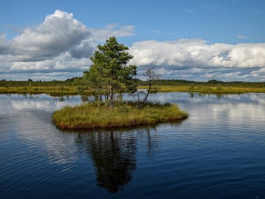 Bataklıktaki ada, altın bataklık, göller ve doğa ortamı, açık mavi gökyüzü ve beyaz bulutlar.