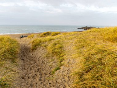 Deniz tepelerinde kumlu yolu olan bir manzara.