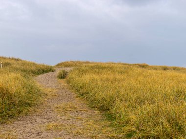 Deniz tepelerinde kumlu yolu olan bir manzara.