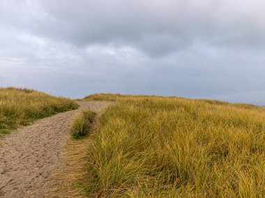 Deniz tepelerinde kumlu yolu olan bir manzara.
