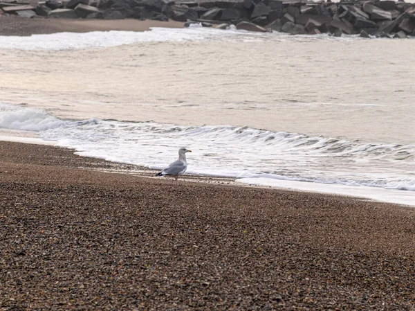 Flou Fond Mer Frais Relaxant Vacances Plein Air Avec Vue — Photo