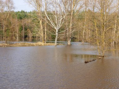 Sel basmış nehirle kaplı bahar manzarası