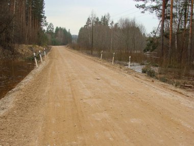 Basit kırsal bir yolu olan manzara