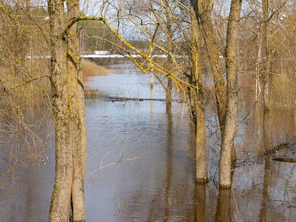 Paisagem Primavera Com Rio Inundado — Fotografia de Stock