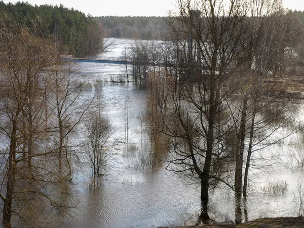 Neblige Frühlingslandschaft Mit Überflutetem Fluss Blick Von Oben Über Das — Stockfoto