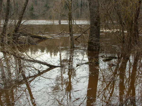 川が氾濫する春の風景 — ストック写真