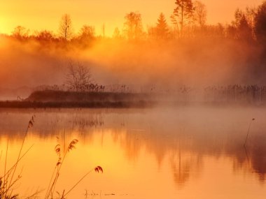 Suda gün doğumu manzarası, sisli bir sabahta gölde ağaçların yansıması, sabahın erken saatlerinde sisler ve gölde su yüzeyi.       