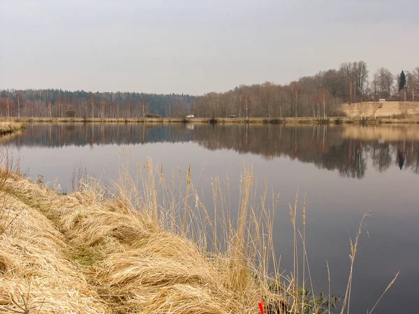 Tidig Vår Landskap Med Sjö Och Vass — Stockfoto