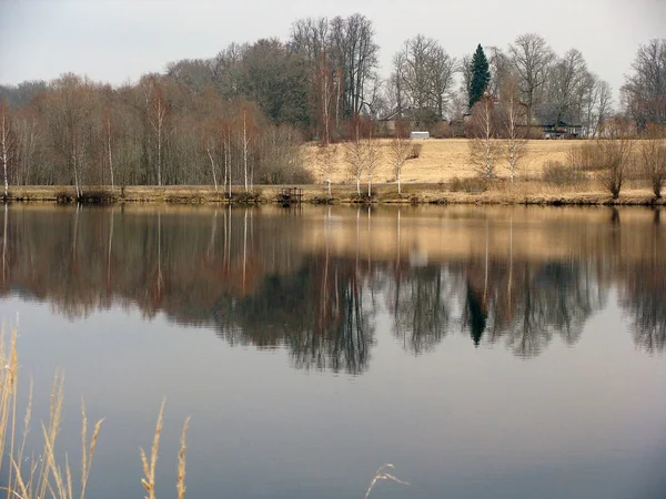 Début Printemps Paysage Avec Lac Roseau — Photo