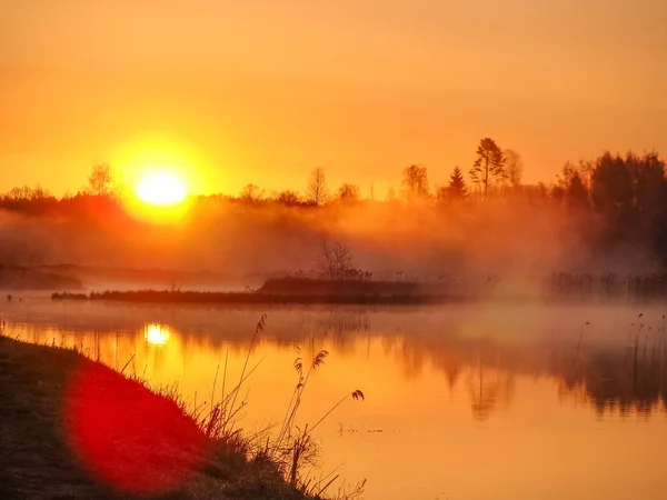 Sunrise Landscape Water Trees Reflection Lake Foggy Morning Early Morning — Stock Photo, Image