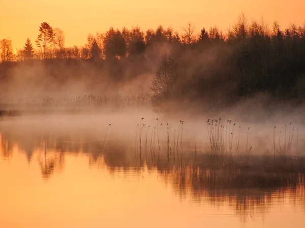 Paysage Lever Soleil Eau Reflet Des Arbres Dans Lac Matin — Photo