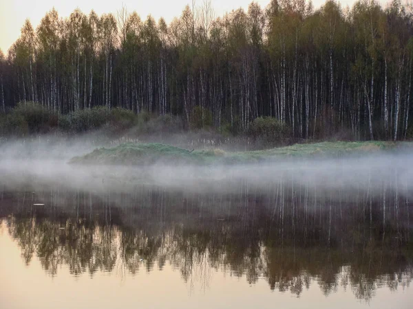 Paysage Lever Soleil Eau Reflet Des Arbres Dans Lac Matin — Photo