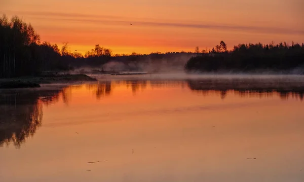 Paysage Lever Soleil Eau Reflet Des Arbres Dans Lac Matin — Photo