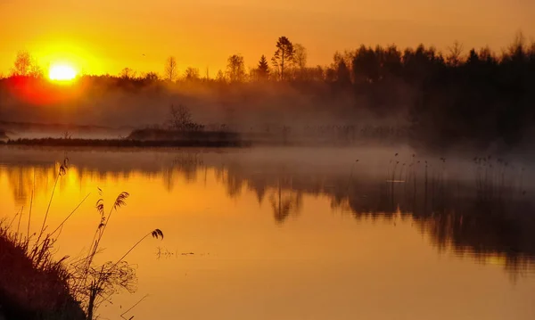 Krajobraz Wschodu Słońca Nad Wodą Odbicie Drzew Jeziorze Mglisty Poranek — Zdjęcie stockowe