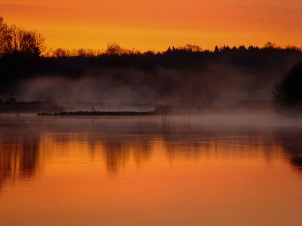 Sonnenaufgangslandschaft Wasser Baumreflexion See Nebligen Morgen Frühen Morgen Schilfnebel Und — Stockfoto