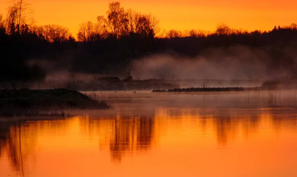 Paysage Lever Soleil Eau Reflet Des Arbres Dans Lac Matin — Photo