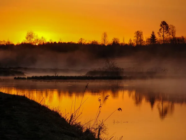 Sonnenaufgangslandschaft Wasser Baumreflexion See Nebligen Morgen Frühen Morgen Schilfnebel Und — Stockfoto