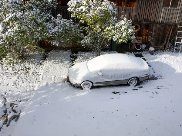 Winter picture with snow covered car. A snowy tree fell on the car. White snow covered the courtyard