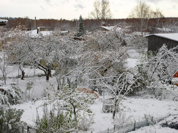 冬の吹雪吹雪雪の嵐の風景 中庭の景色 — ストック写真