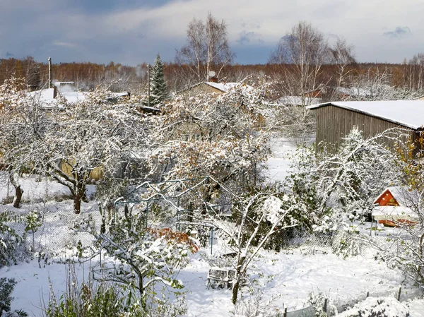 Зимняя Снежная Буря Снежная Буря Пейзаж Вид Внутренний Двор — стоковое фото