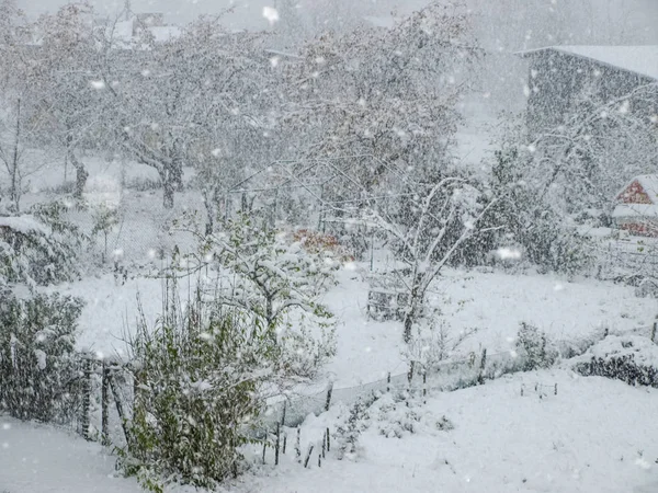 Tempête Neige Hivernale Blizzard Tempête Neige Paysage Vue Sur Cour — Photo