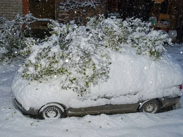 Zimní Obrázek Zasněženým Autem Auto Spadl Zasněžený Strom Nádvoří Pokrýval — Stock fotografie