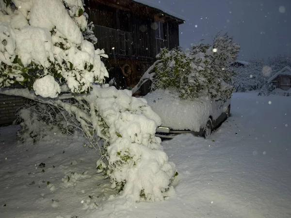 Imagem Inverno Com Carro Coberto Neve Uma Árvore Nevada Caiu — Fotografia de Stock