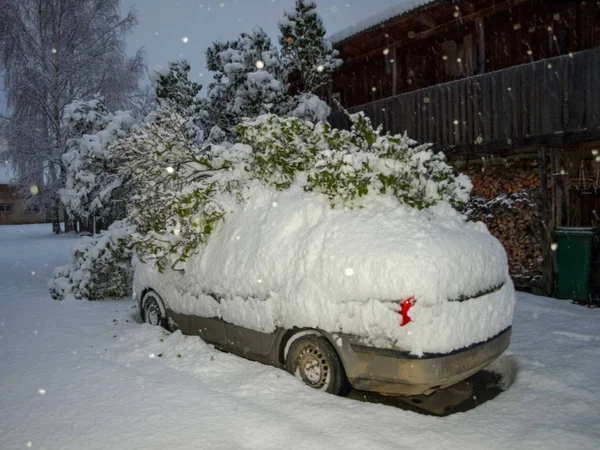 Zimní Obrázek Zasněženým Autem Auto Spadl Zasněžený Strom Nádvoří Pokrýval — Stock fotografie