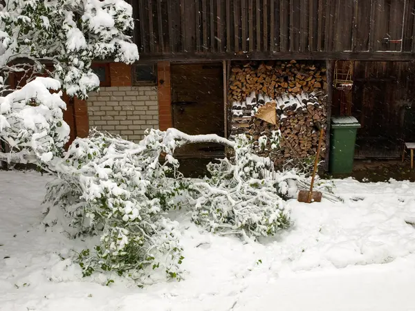 Photo Hiver Avec Des Arbres Couverts Neige Neige Blanche Recouvre — Photo