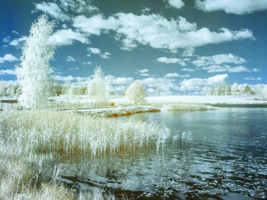 sürreal sahte renk kızılötesi kırmızı göl ve ağaçların yaz manzarası