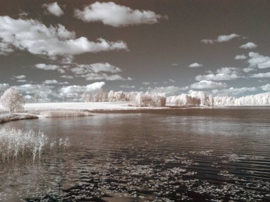 sürreal sahte renk kızılötesi kırmızı göl ve ağaçların yaz manzarası