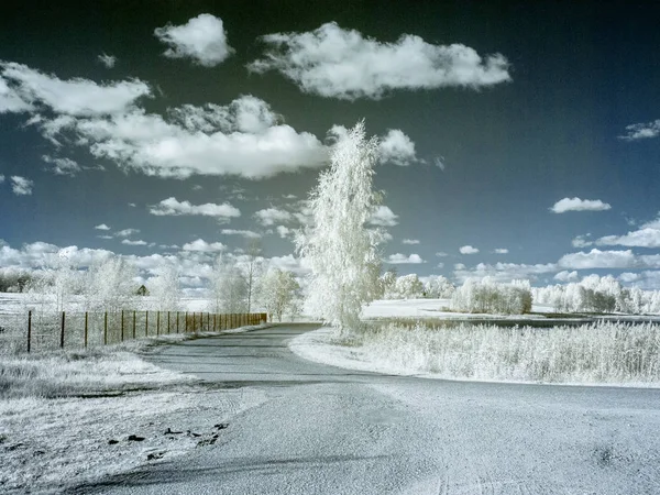 surreal false color infra red summer landscape of lake and trees