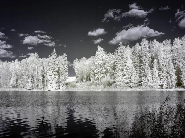 surreal false color infra red summer landscape of lake and trees