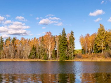 Göl kenarındaki renkli sonbahar manzarası, altın sonbahar, renkli ağaçlar ve yansımalar.