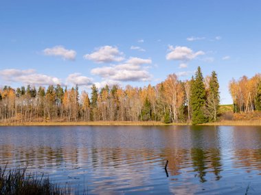 Göl kenarındaki renkli sonbahar manzarası, altın sonbahar, renkli ağaçlar ve yansımalar.