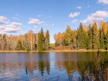 Göl kenarındaki renkli sonbahar manzarası, altın sonbahar, renkli ağaçlar ve yansımalar.