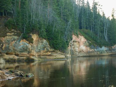 Gauja nehrinin kıyısındaki kumtaşı kayalıkları olan manzara. Letonya