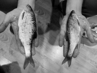   İnsanların elindeki balığın siyah beyaz resmi