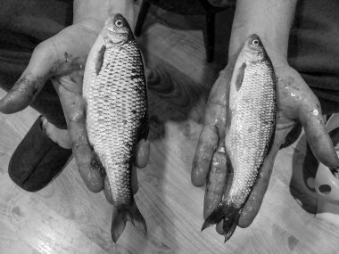   İnsanların elindeki balığın siyah beyaz resmi