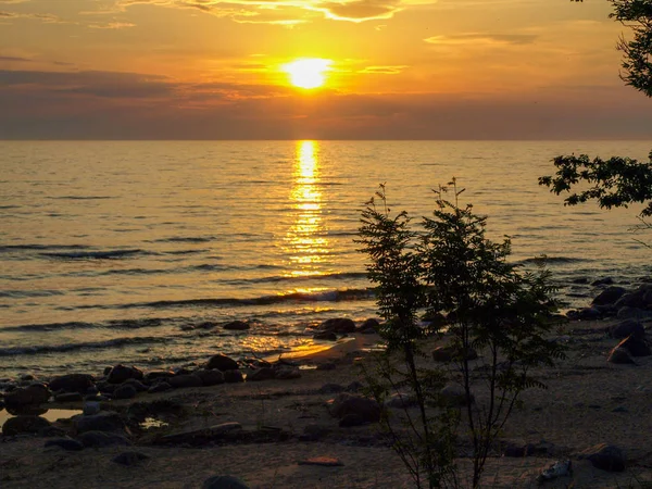Piękny Zachód Słońca Morzu Sylwetki Gałęzi Drzew Pierwszym Planie — Zdjęcie stockowe