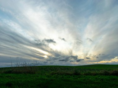 Yeşil bir mısır tarlası ve güzel bir gökyüzü olan basit bir manzara.